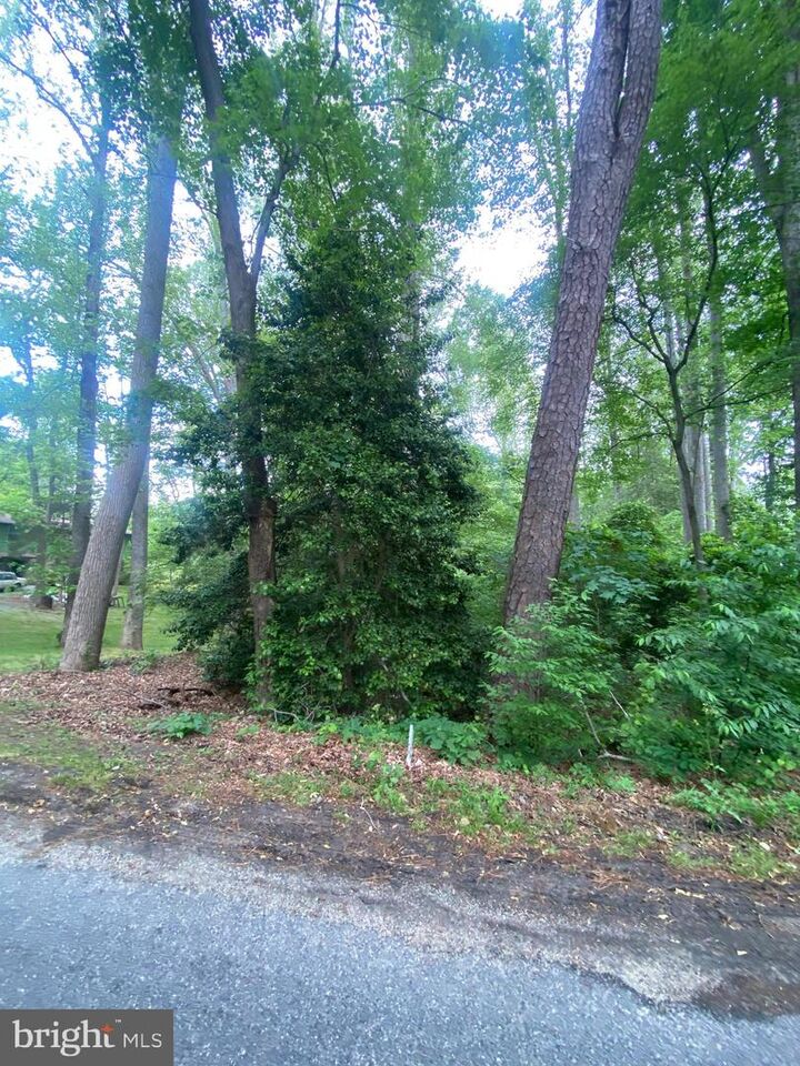 Property Photo:  Dry Bridge Rd  VA 22546 