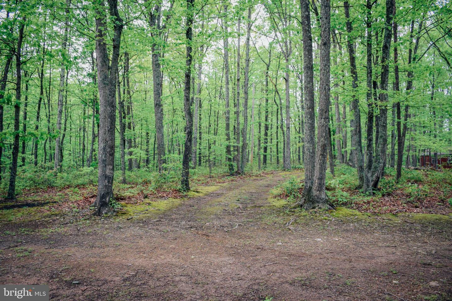 Property Photo: 124 Wild Boar Road WV 25434
