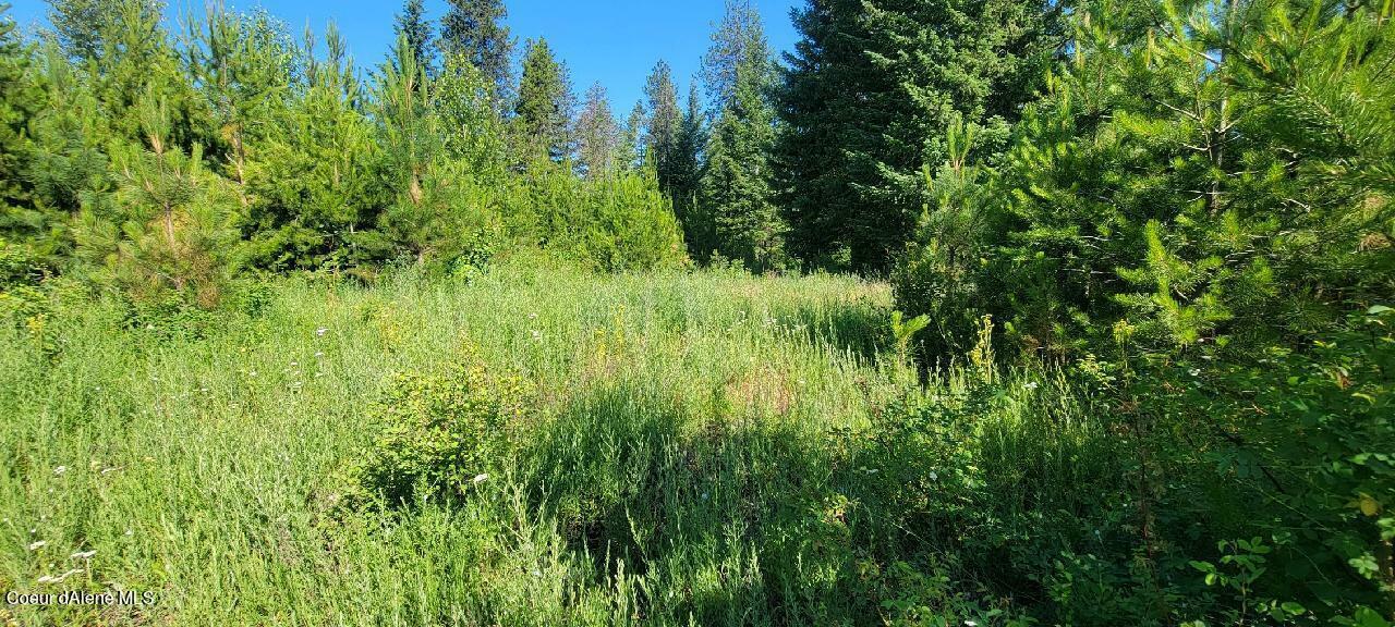 Property Photo: Lt 4 W Fredrick Loop ID 83869
