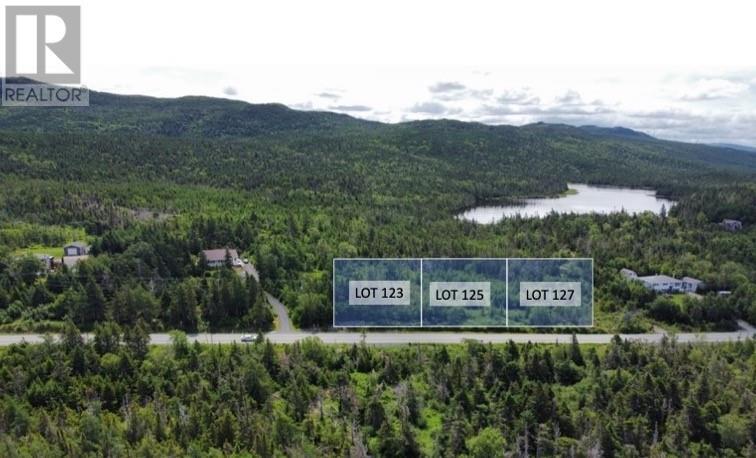 Property Photo:  123 Salmonier Line  NL A0A 2K0 