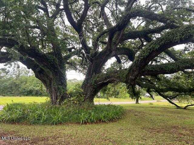 Property Photo: 4803 Orchard Road MS 39581