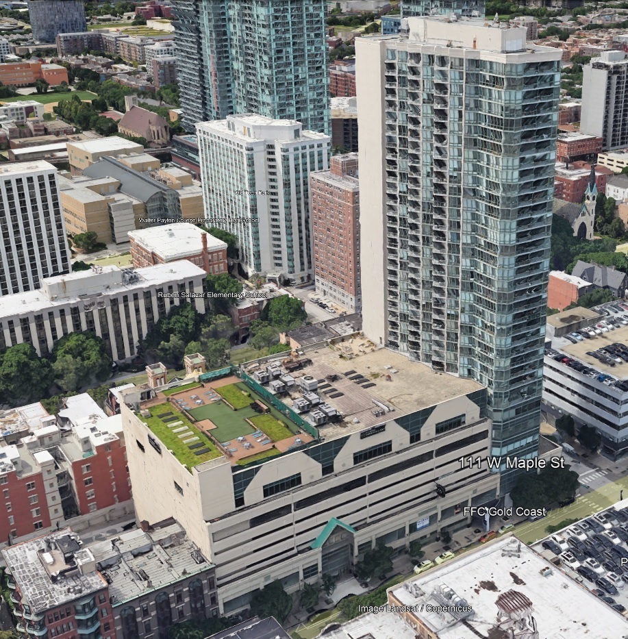 Property Photo: 111 W Maple Street 2504 IL 60610