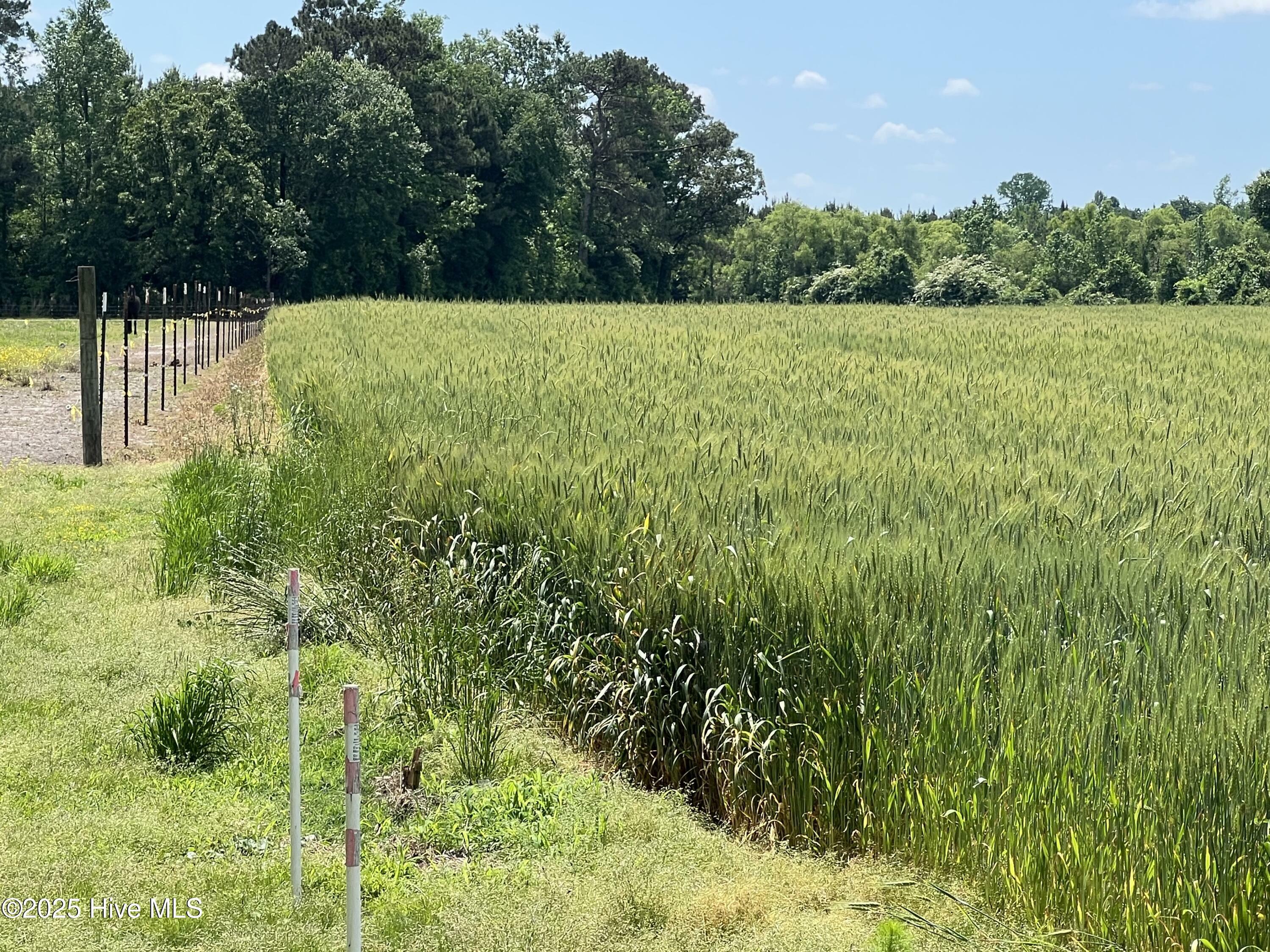 Property Photo: Tbd Nc-50 NC 28466