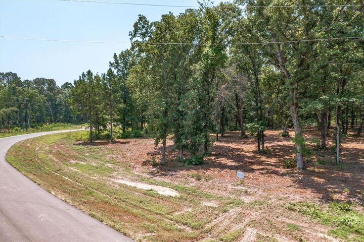 3109 Shadow Pine Drive  Larue TX 75770 photo