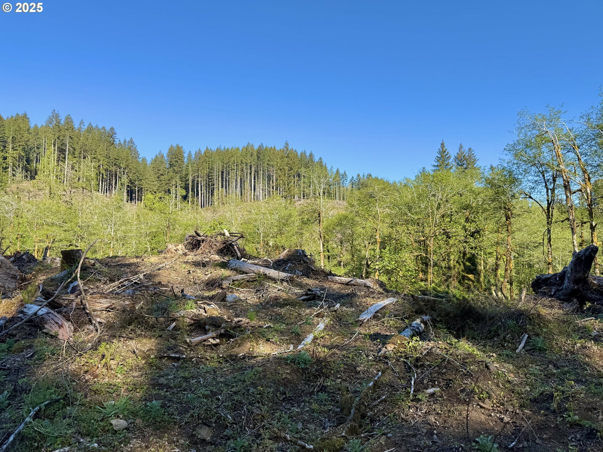 Property Photo: Buster Creek Mainlin OR 97138