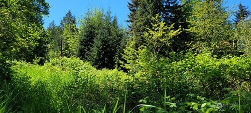 Property Photo: 825 99th Avenue SE WA 98258