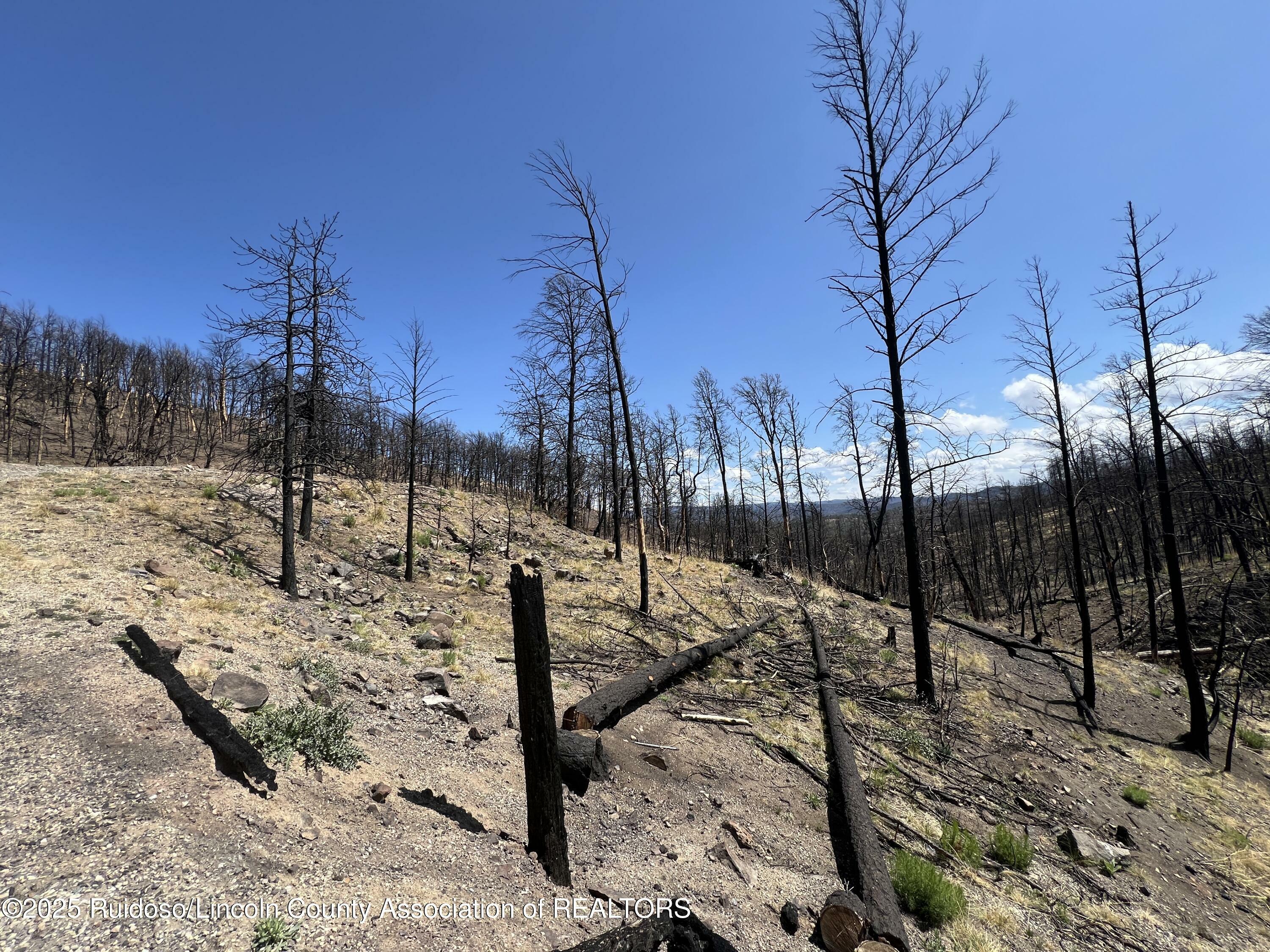 Property Photo: 113 Red River Place NM 88345