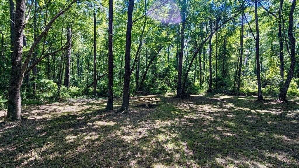Property Photo: Katydid Street SC 29154