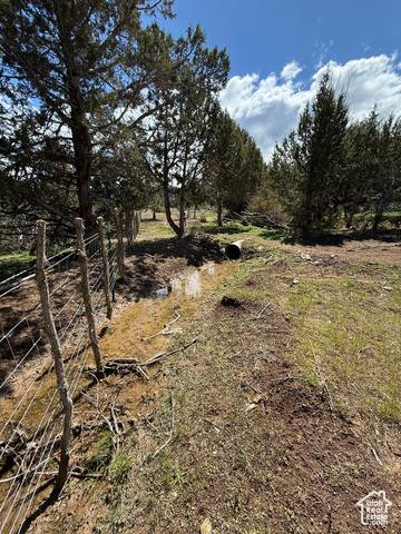 Unknown  Spring City UT 84662 photo