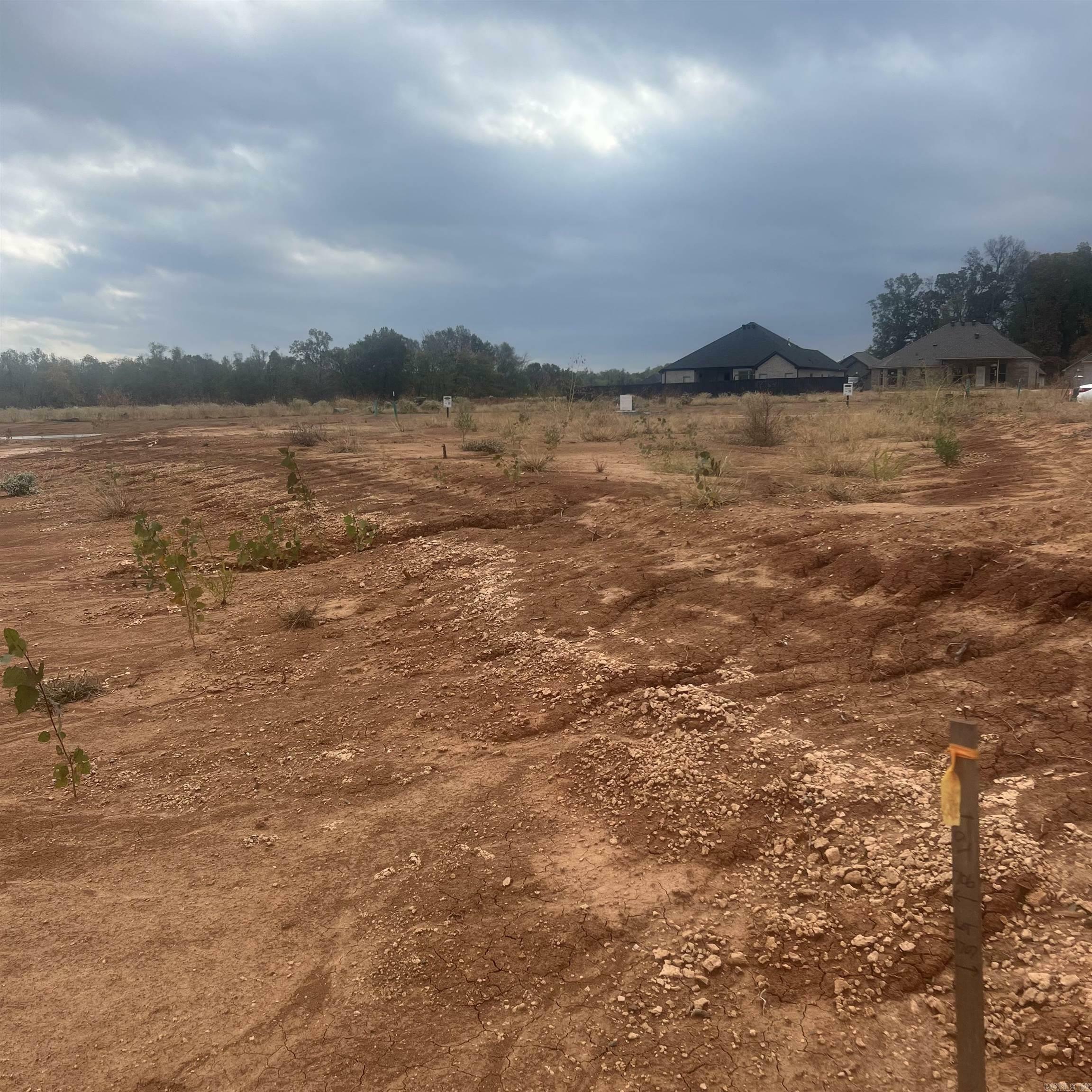 Property Photo: 513 Corondelet Lane AR 72113