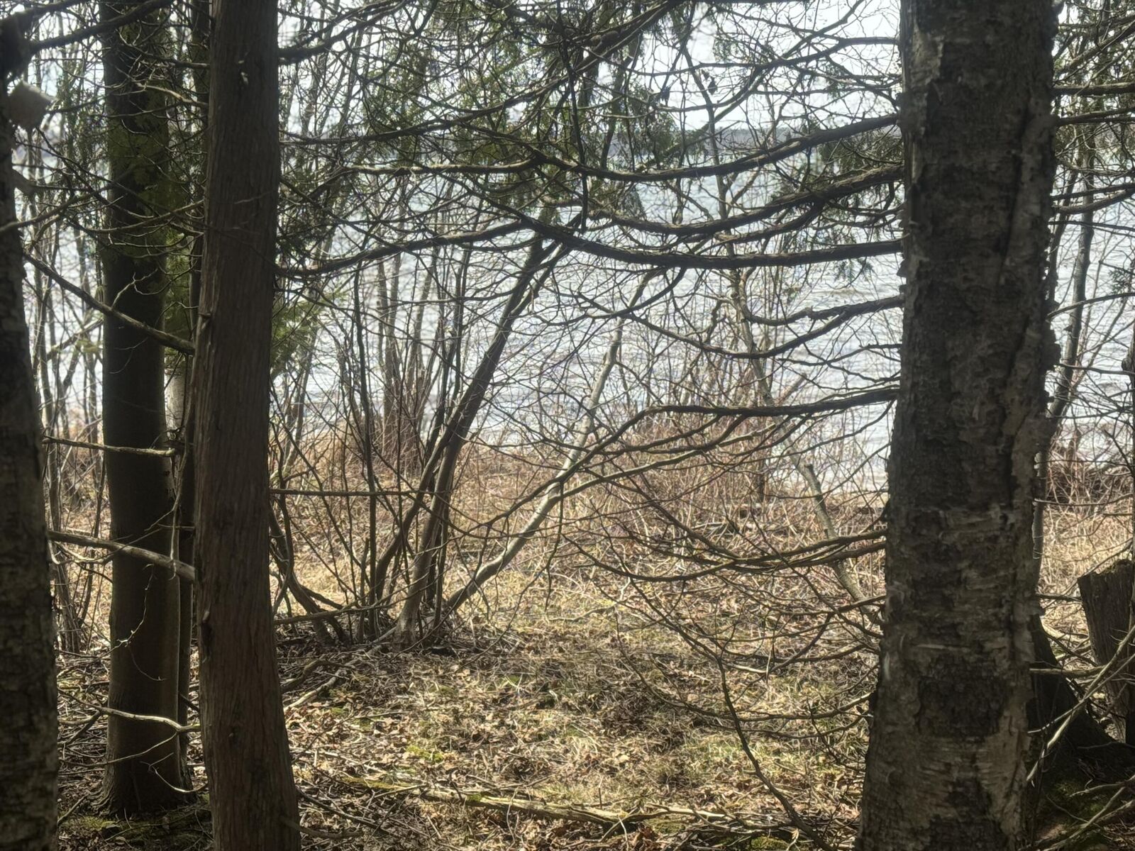 Property Photo:  Lot 1 Tressler Drive  MI 49853 