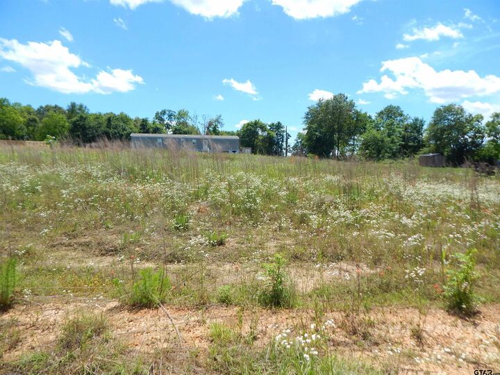 Property Photo:  Tbd Lot 7 Zela Rd  TX 75644 