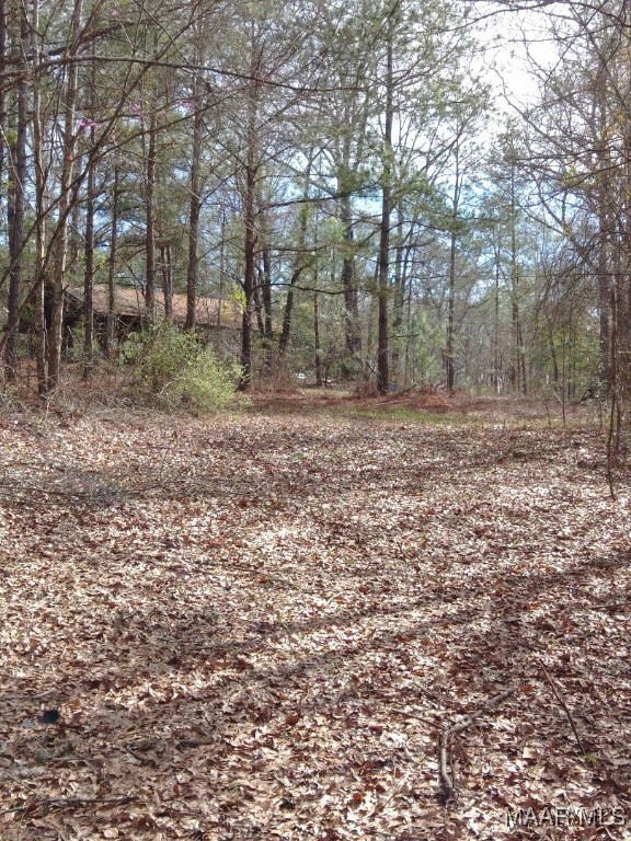 Property Photo: 1373 County Road 39 Road AL 36022