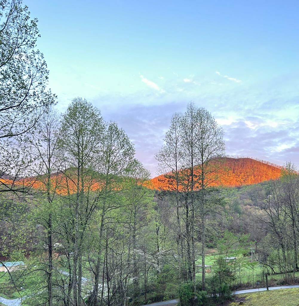 Property Photo: 154 Anns Lane NC 28904