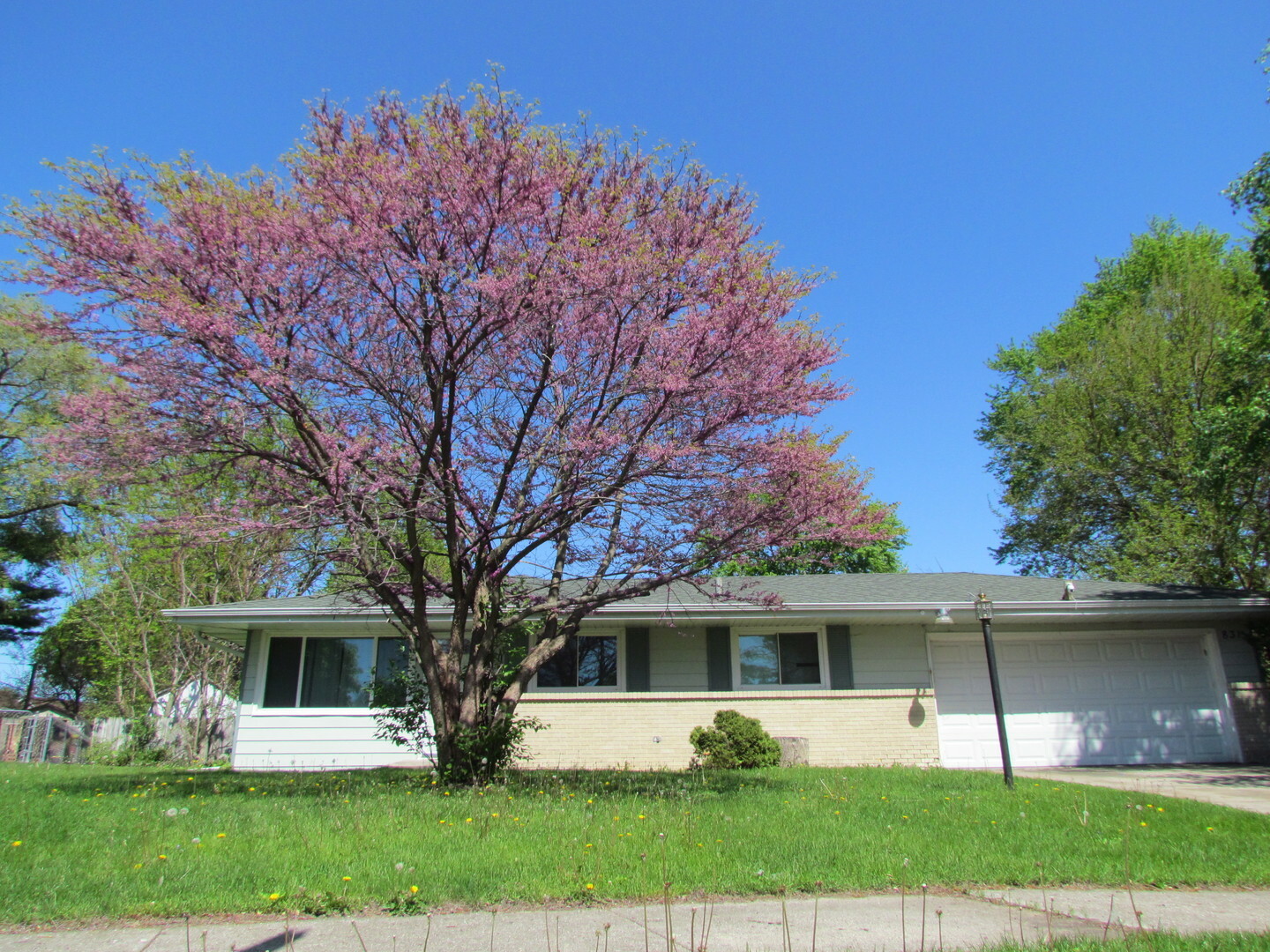 Property Photo: 831 N Glenwood Place IL 60506