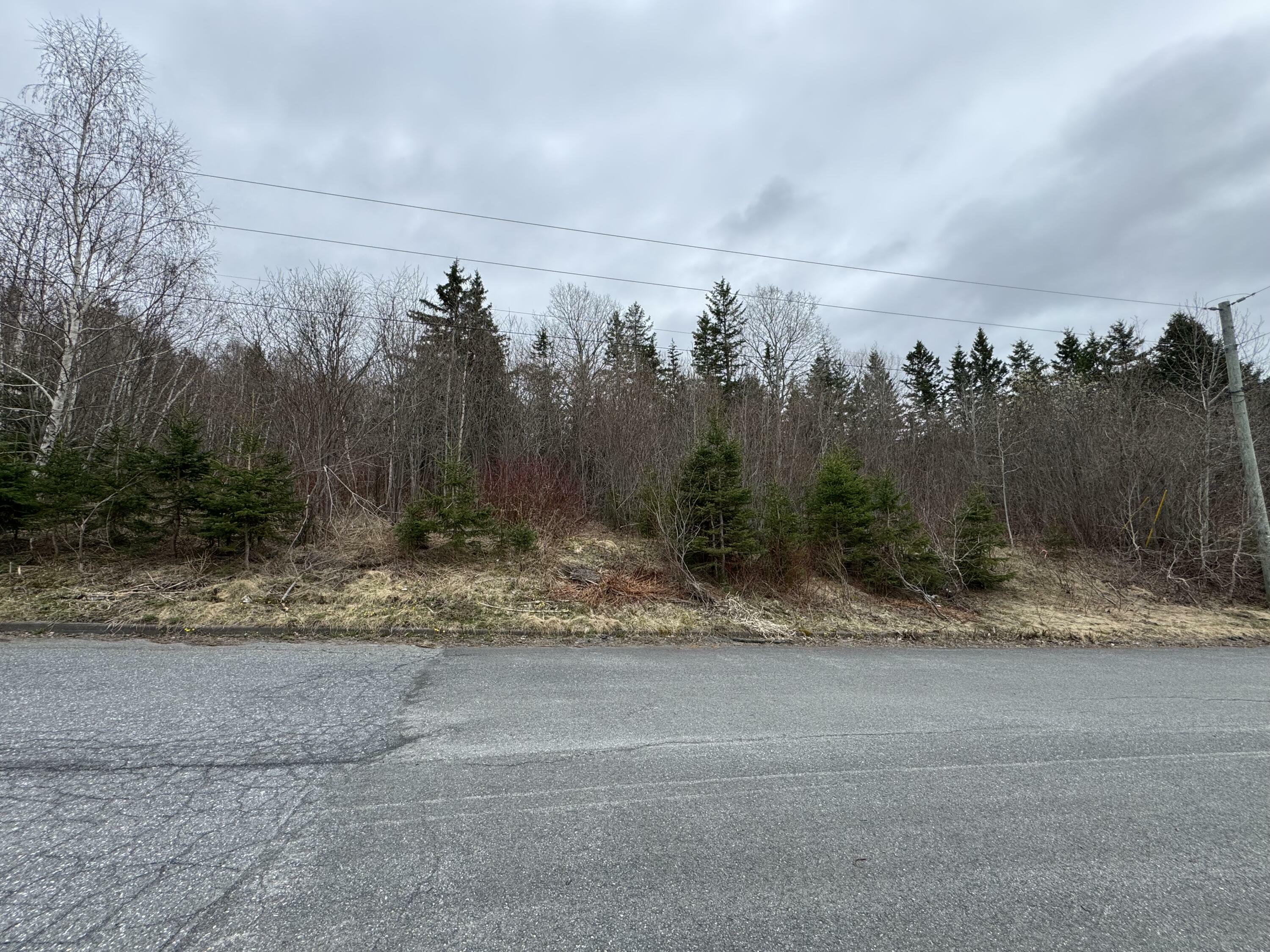 Property Photo: L62 Townview Street ME 04756
