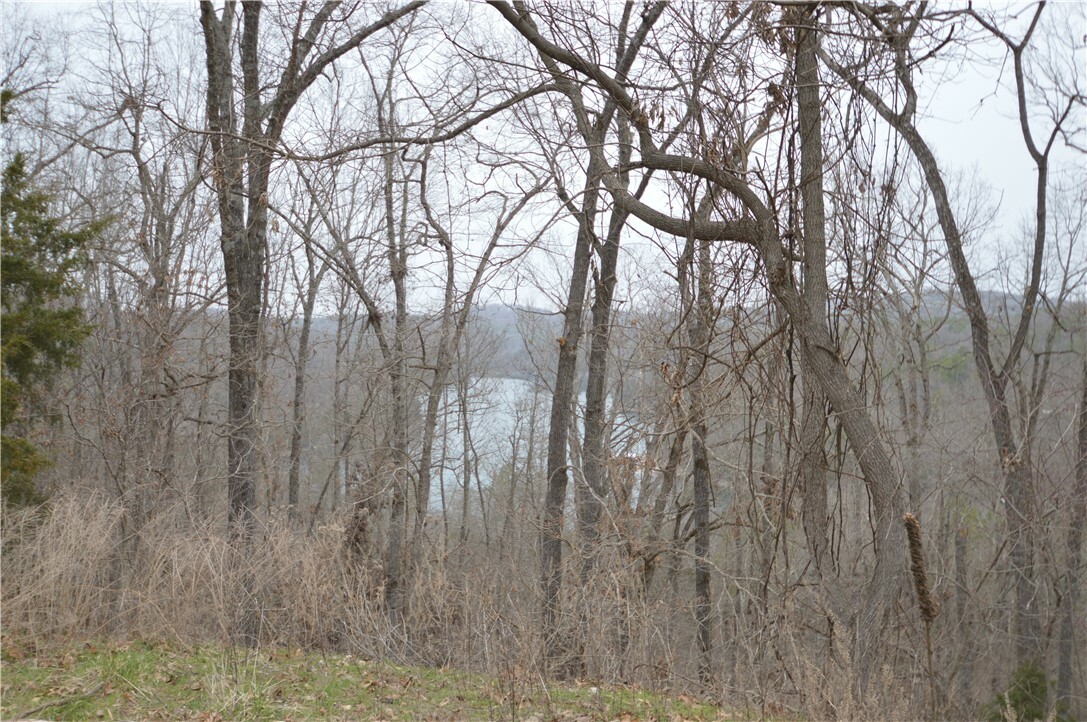 Property Photo: 24550 Capps Ranches Road AR 72756