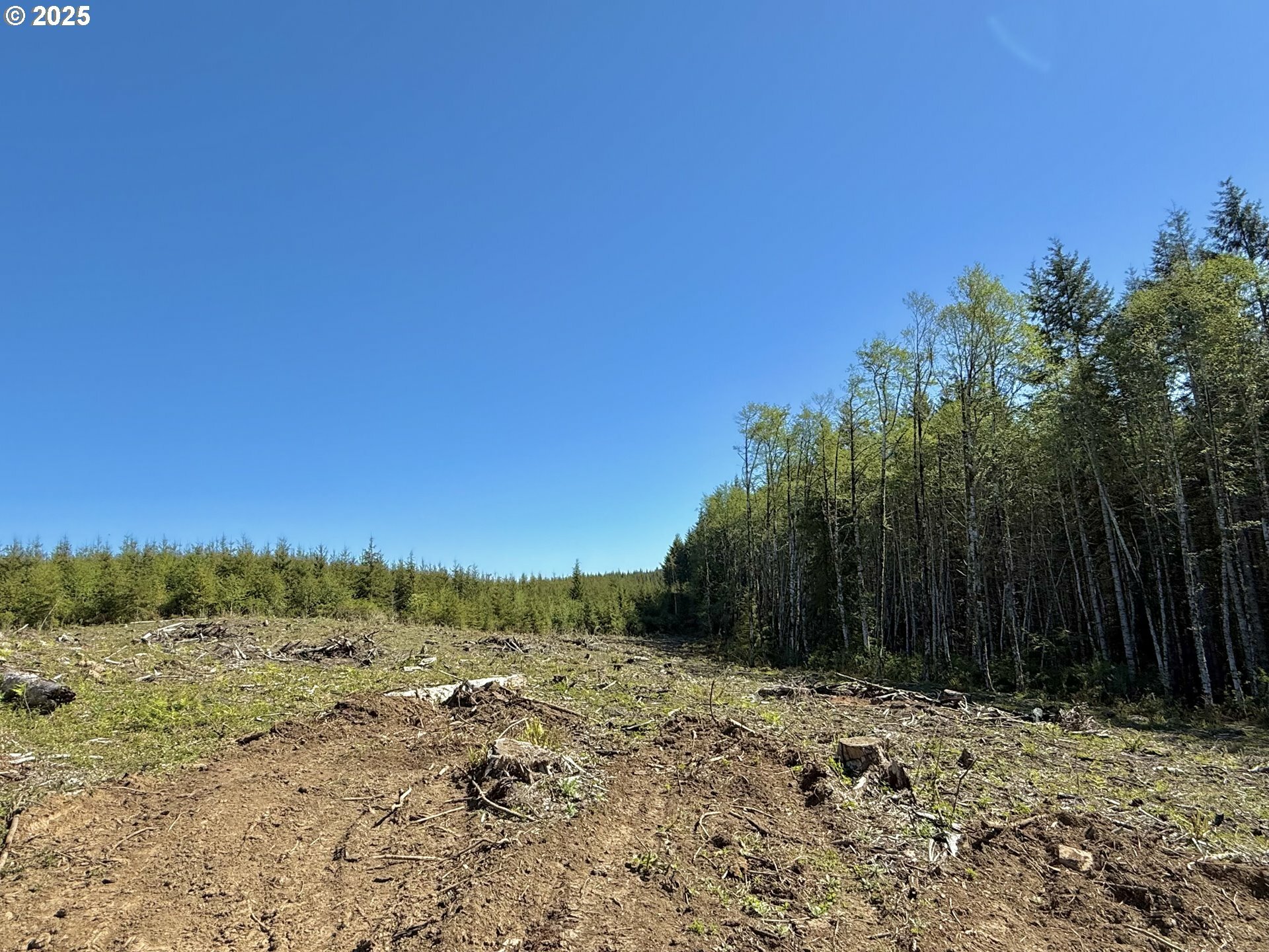 Property Photo: 72000 Clatskanie Heights Rd OR 97016