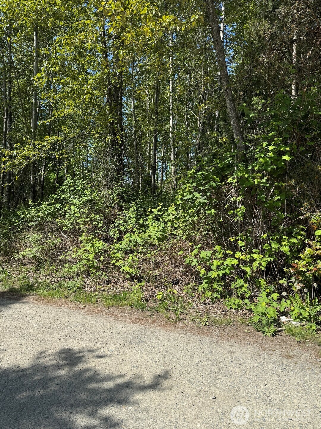Property Photo:  101 Xx  221st Avenue E  WA 98391 