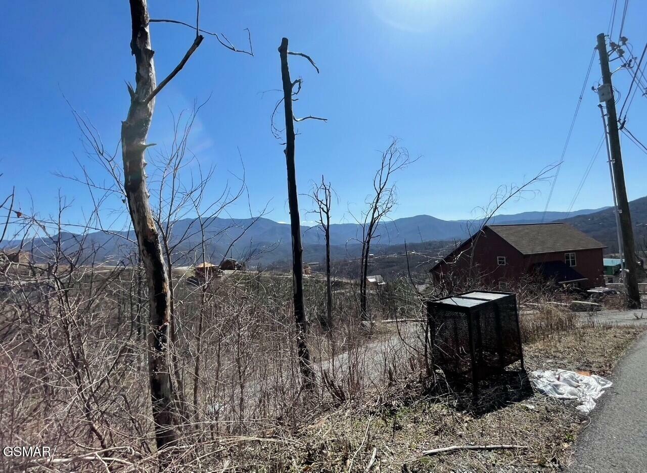 Property Photo: 907 Wiley Oakley Drive TN 37738