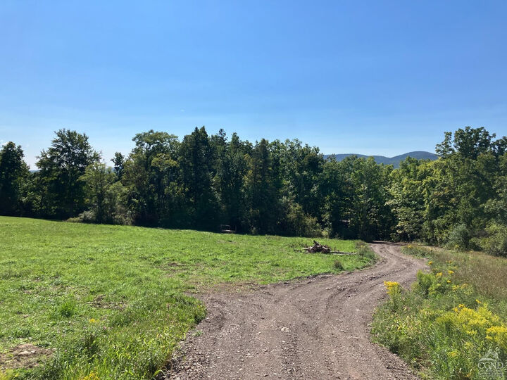 Property Photo:  0 County Route 20  NY 12422 