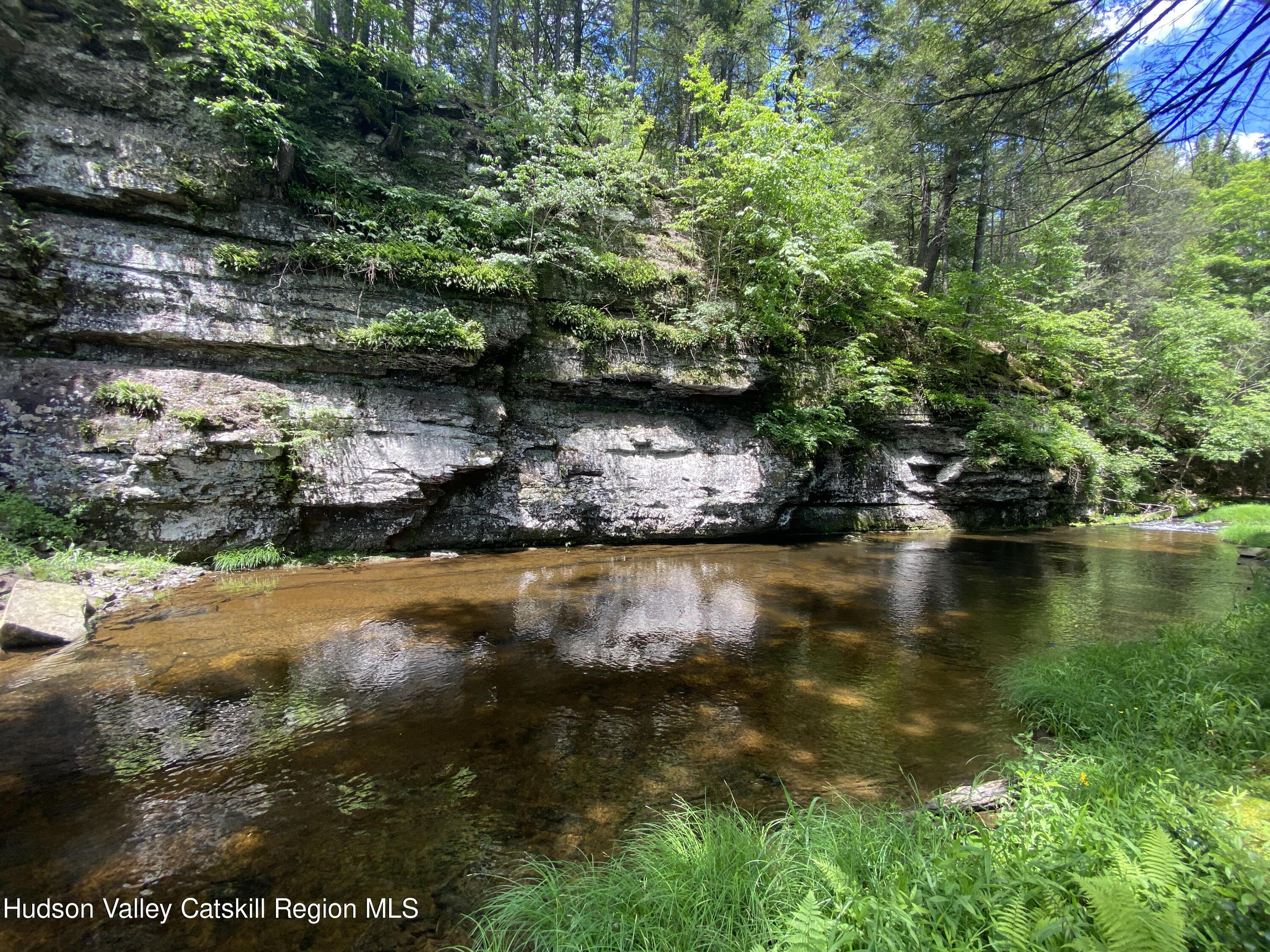 Property Photo: 281 Dewitt NY 12461