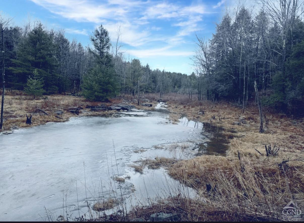 Property Photo: 0 Ford Hill Road NY 12444