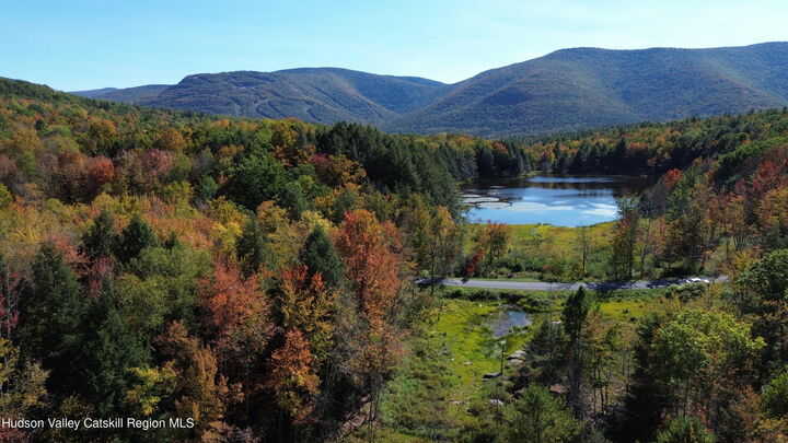 Property Photo:  0 Ford Hill Road  NY 12444 