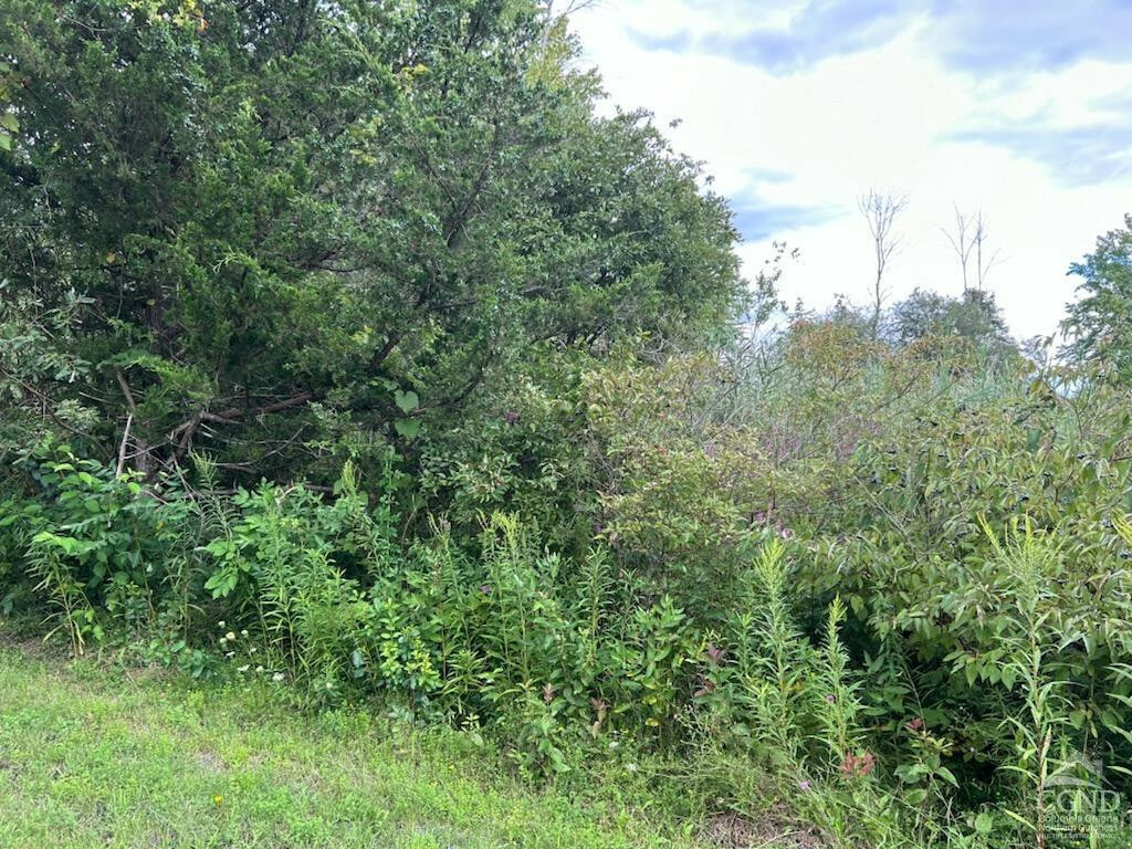 Property Photo: 58 Ichabod Crane NY 12015