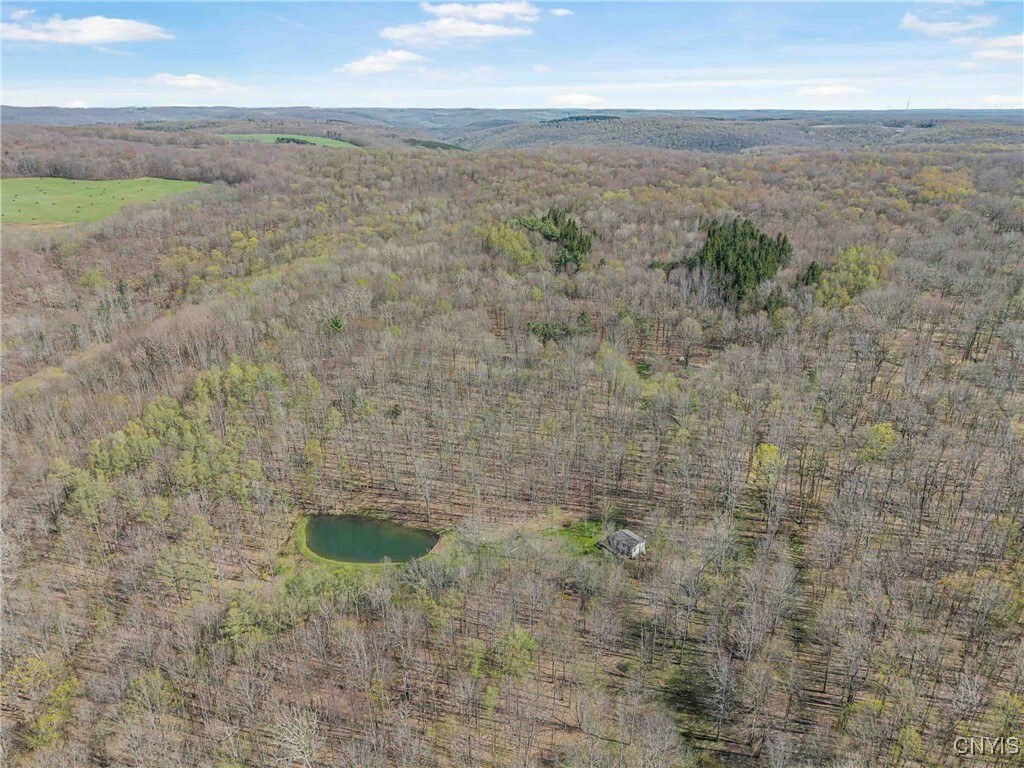 Property Photo: 3882 Hurd Road NY 14839