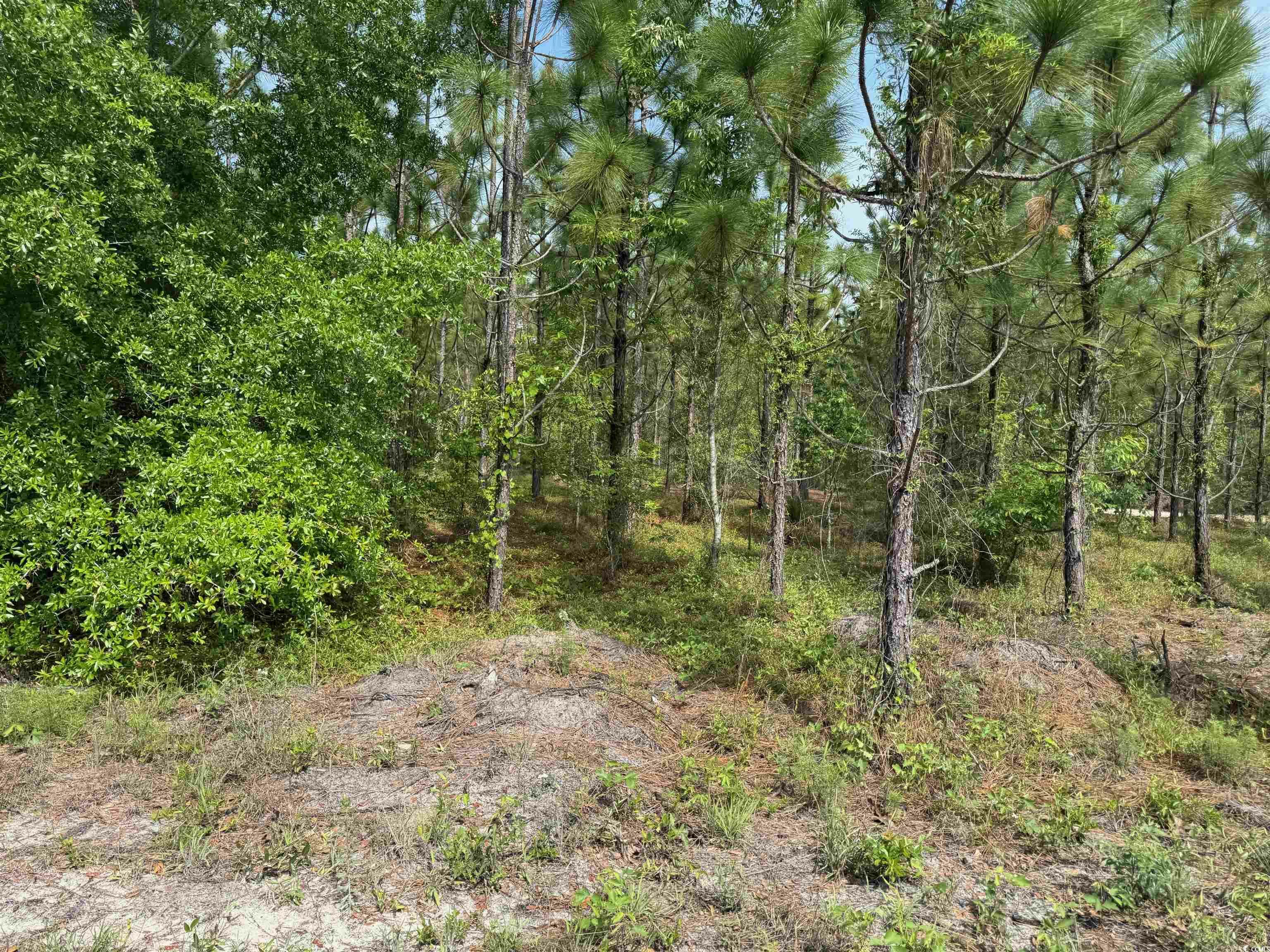 Property Photo: 1698 Carriage Dr. SC 29569
