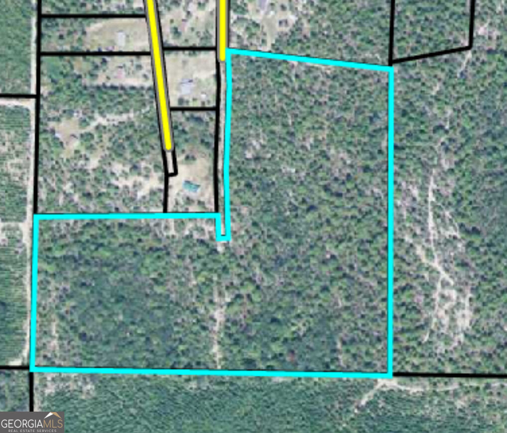 Property Photo: 32 10F Pine Knot Road GA 31801