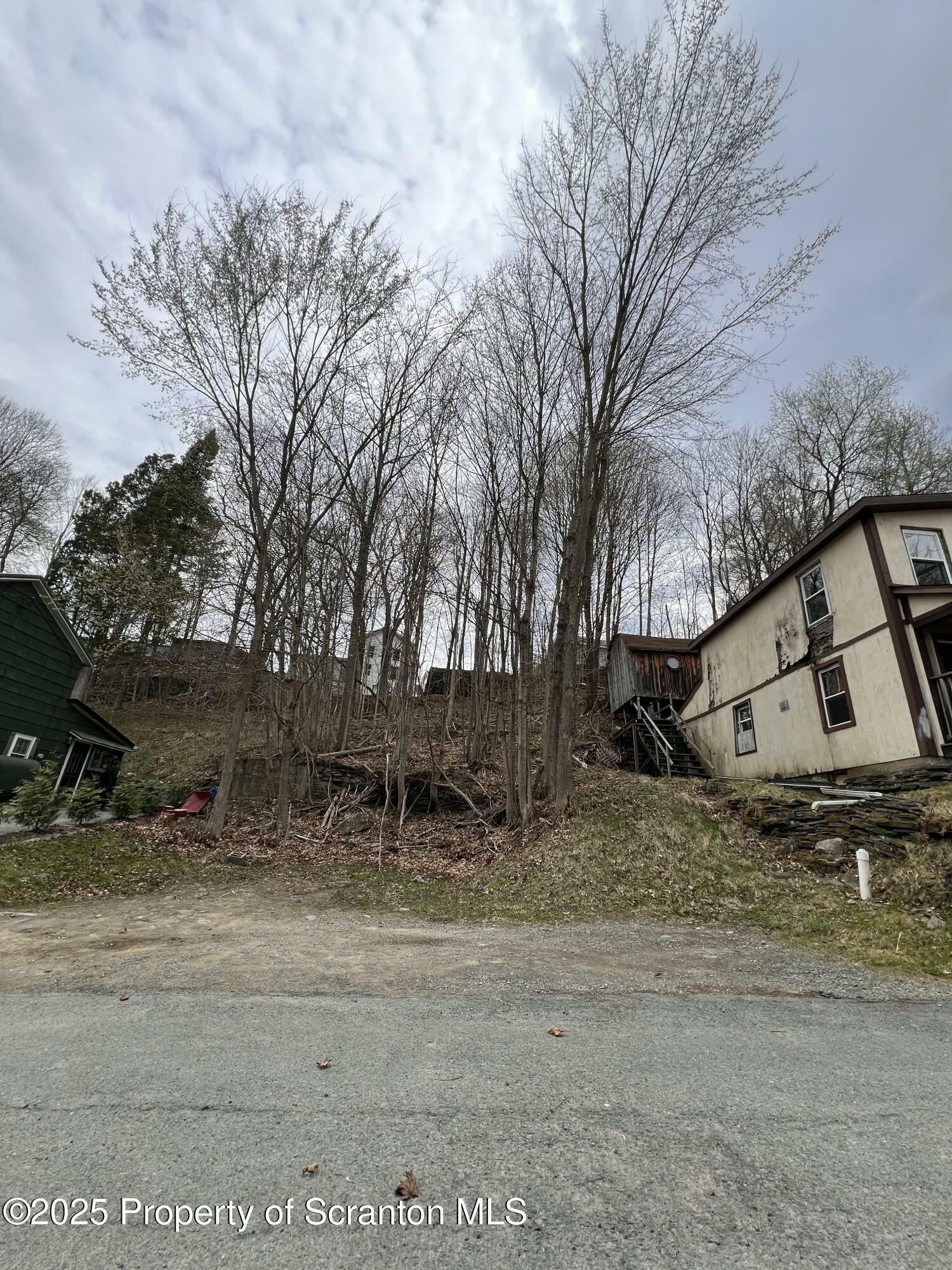 Property Photo: Willow Avenue PA 18847