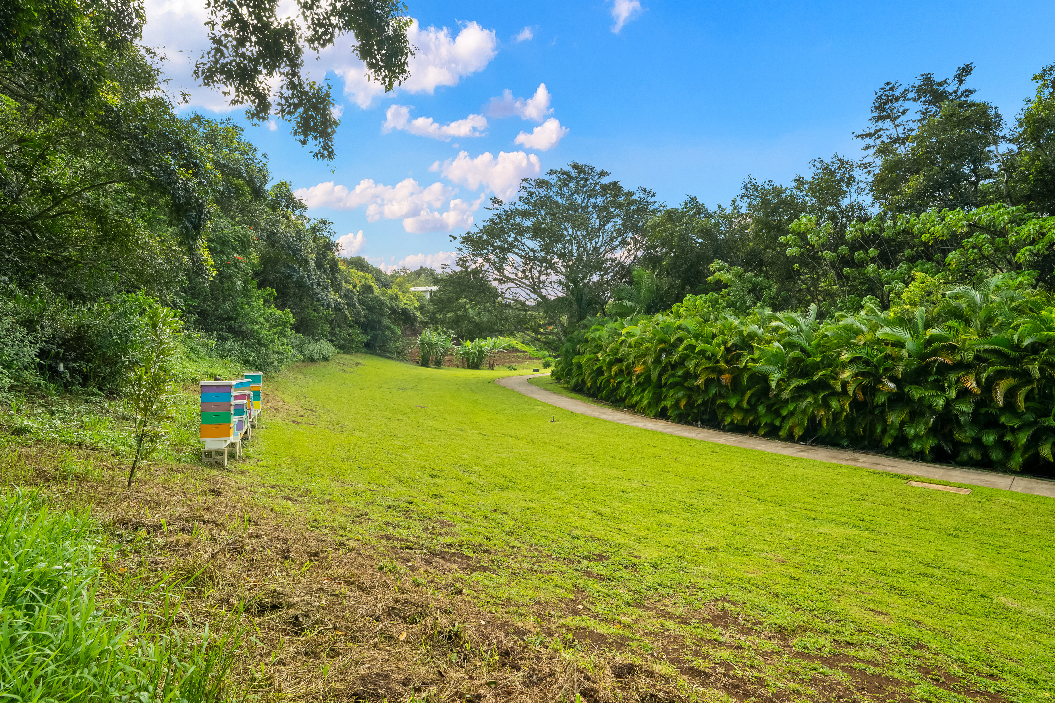 Property Photo: Umiumi Rd HI 96741