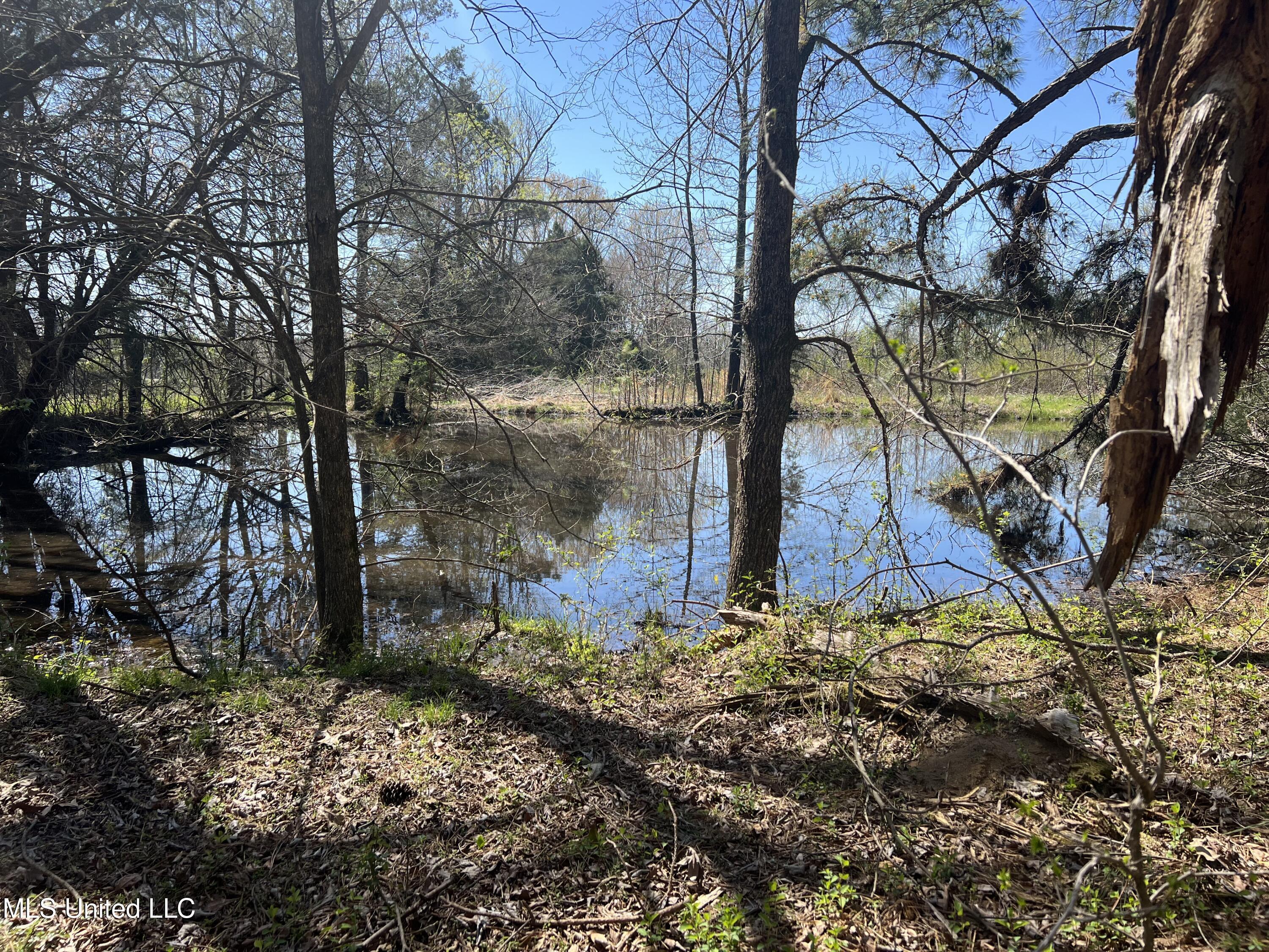 Property Photo:  4595 Lucius Taylor Road  MS 38619 