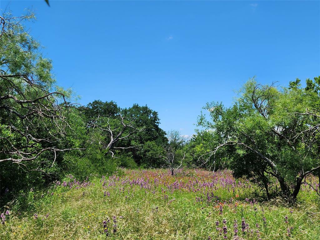 Property Photo: Tbd County Road 127 TX 76471