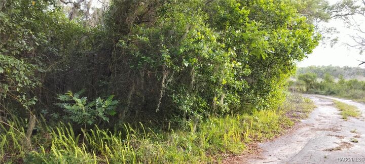 Property Photo:  63 N Sheltering Oaks Drive  FL 34453 