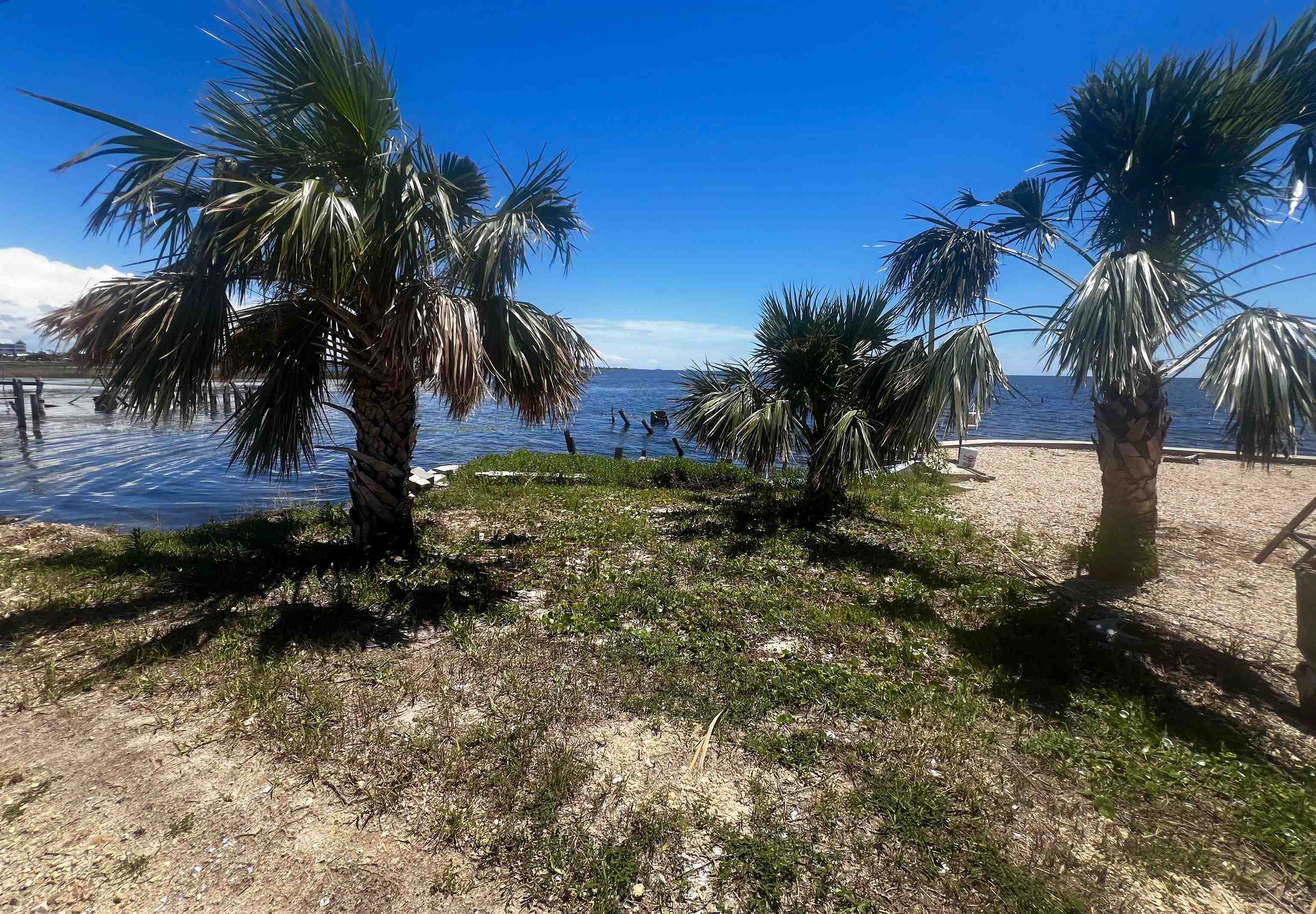 Property Photo: 000 Ezell Beach Road FL 32348