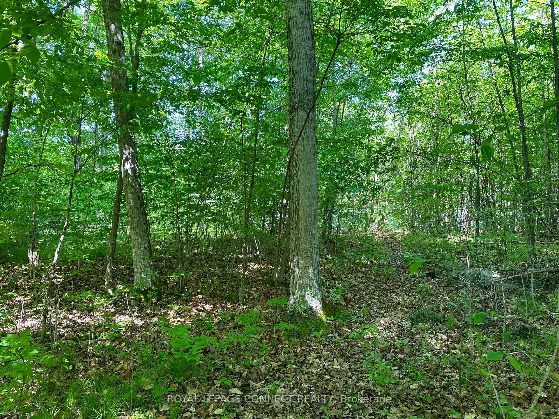Property Photo:  20 Riverside Drive  ON K0L 1L0 