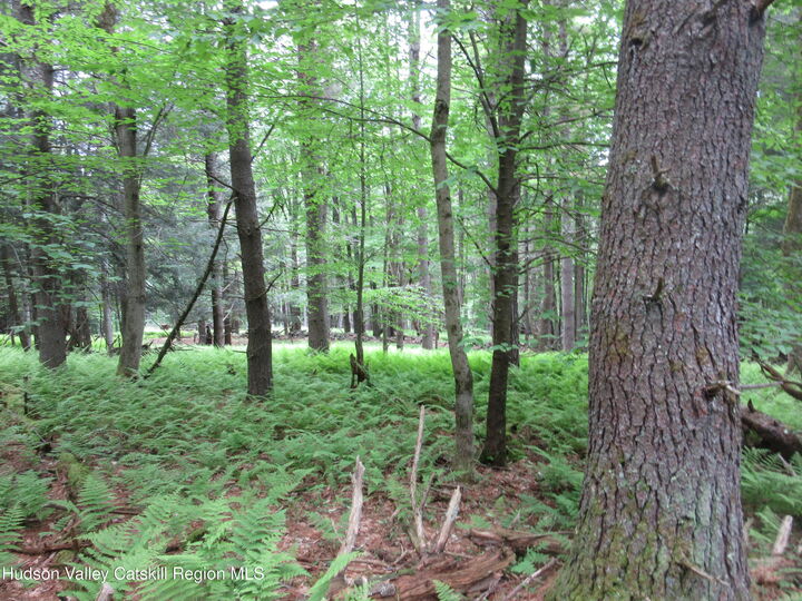 Property Photo: 0 Route 23C Lot#1 NY 12452