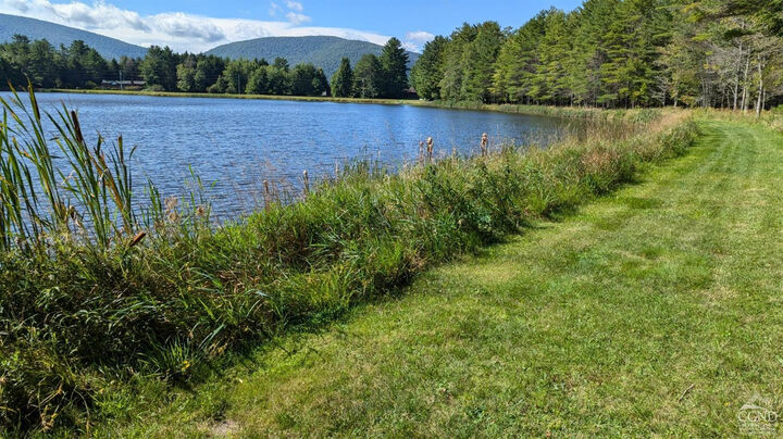 Property Photo: 85 Conifer Lake West Rd. NY 12444