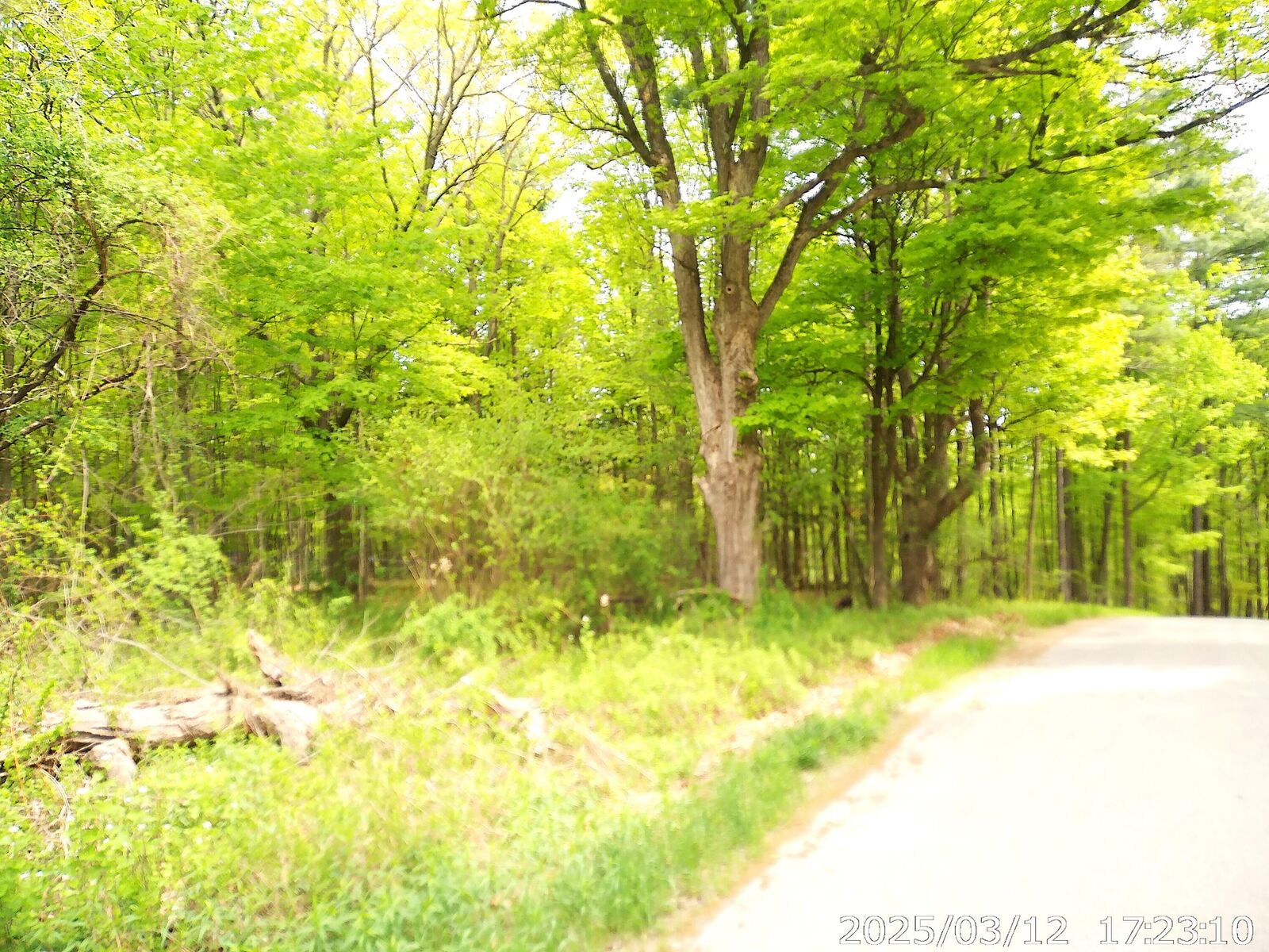 Property Photo:  0 Barksdale Road  NY 12993 