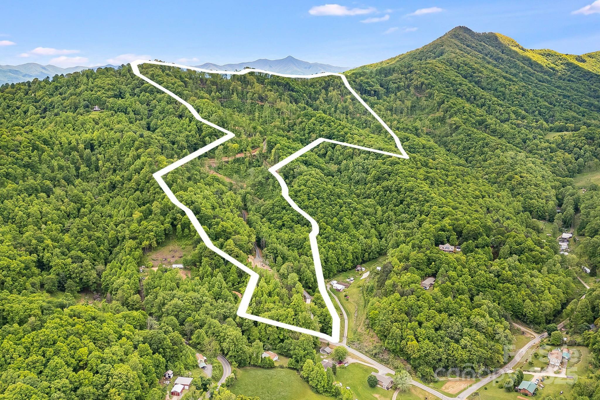Property Photo: 99999 Hookers Gap Road NC 28748