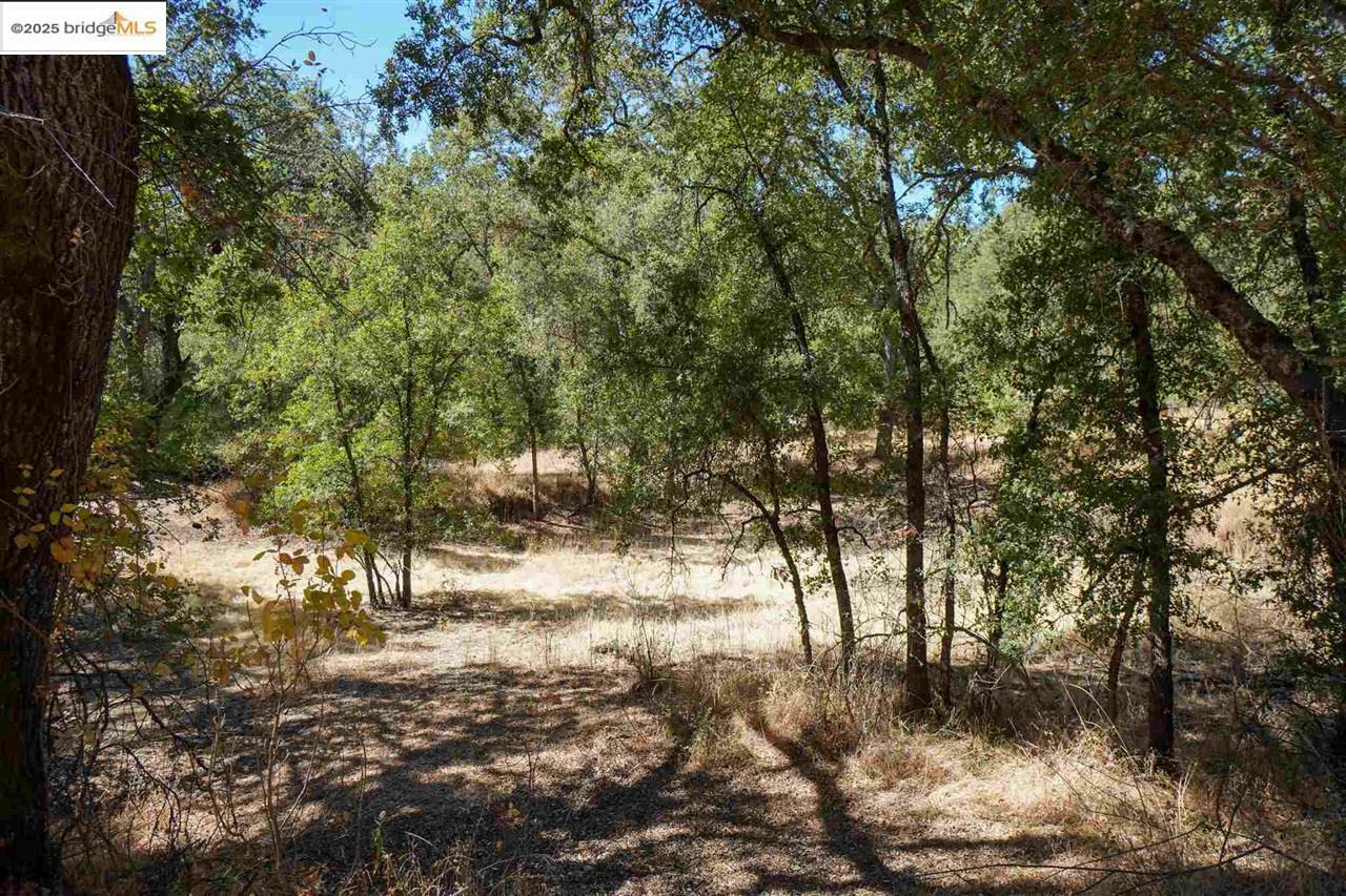 Property Photo: 11480 Racetrack CA 95370