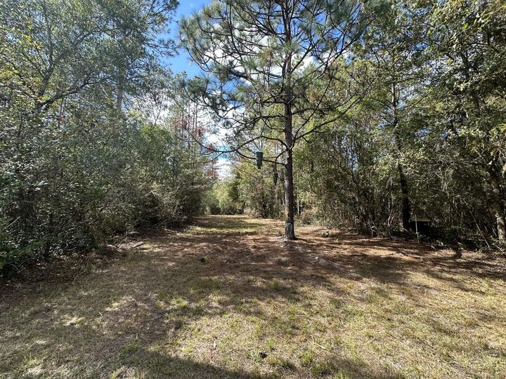 Property Photo: 20 Ac Lacey Lane FL 32536
