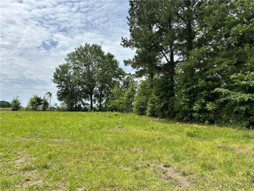 Property Photo: 00 Johnson Road AL 36375