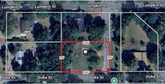 Property Photo:  0.41ac Dill Street  MS 39452 