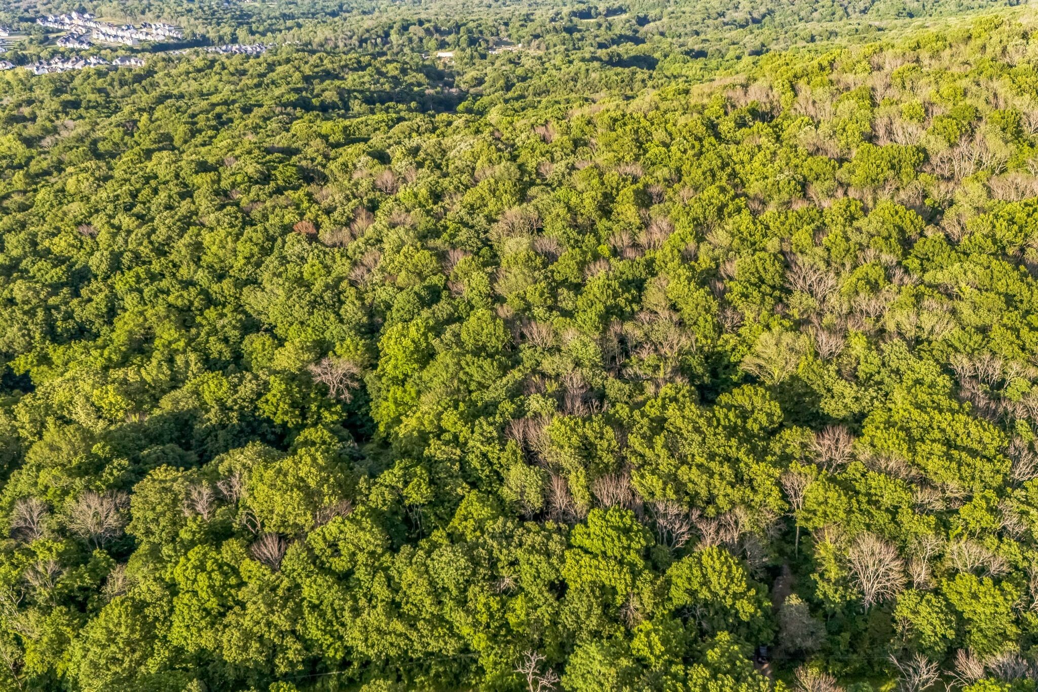 Property Photo: 0 Sanford Rd TN 37135