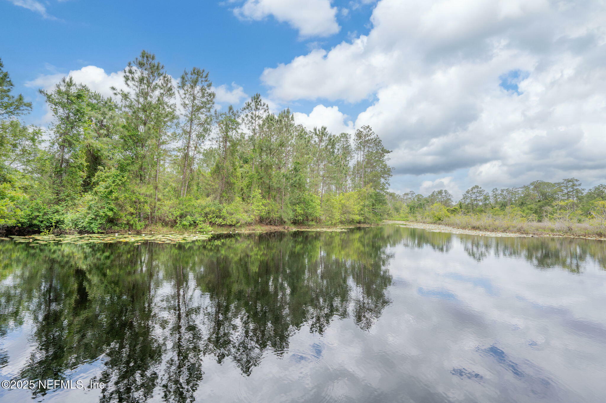 Property Photo: 133 Seminole Trail FL 32139