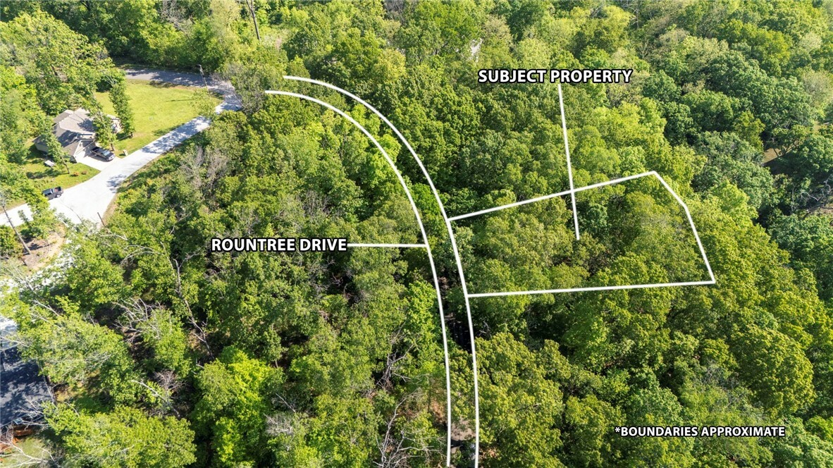 Property Photo: Lot 49 Rountree Drive AR 72715